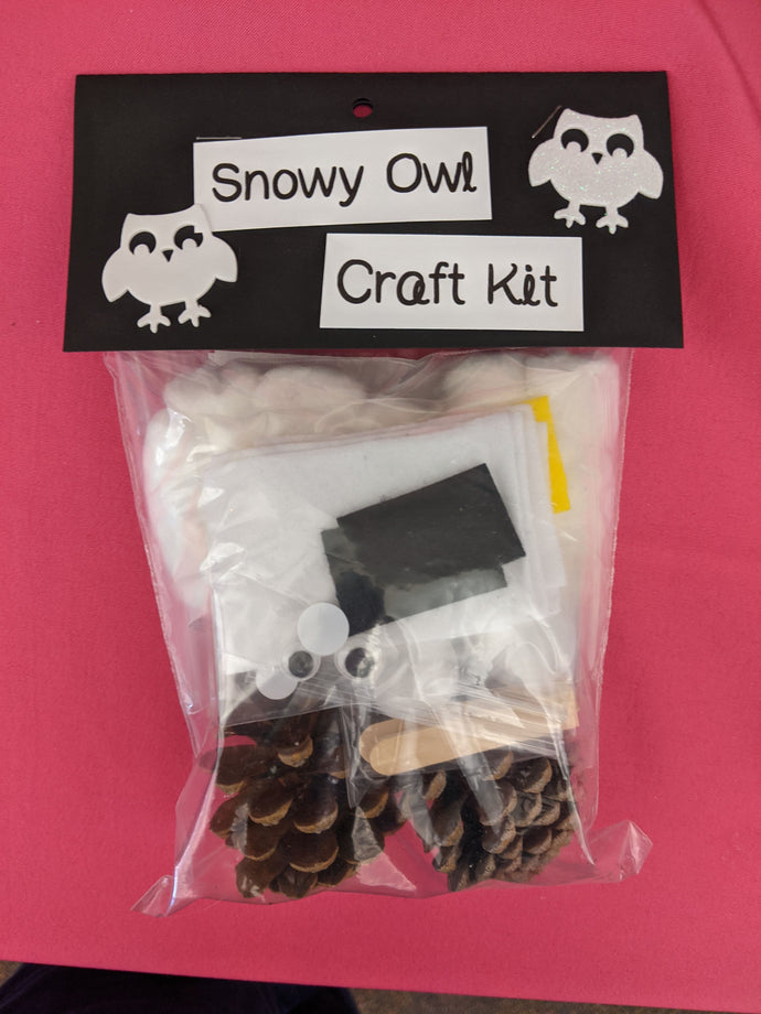 Snowy Owl craft kit